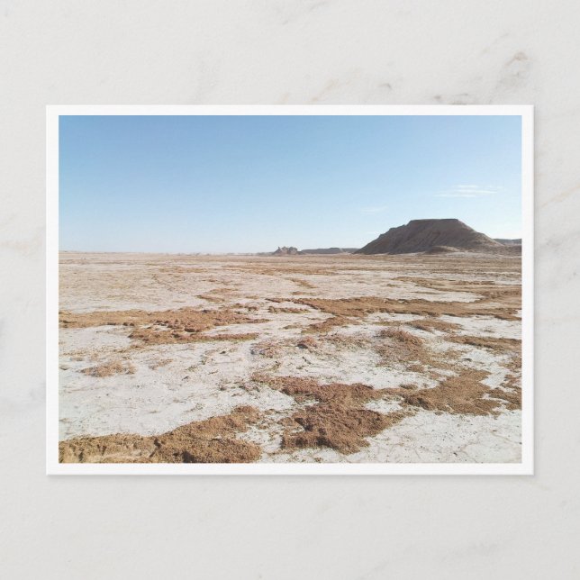 Chott el Gharsa (Tunisia) Postcard (Front)