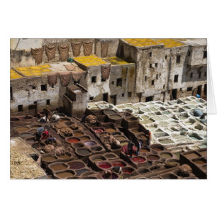 Chourara tannery, Fez