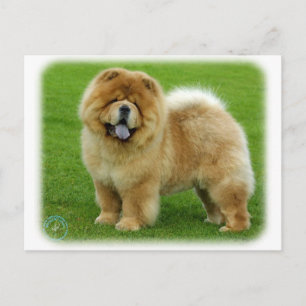 Chow Chow 9B008D-06 Postcard