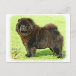Chow Chow 9B011D-08 Postcard