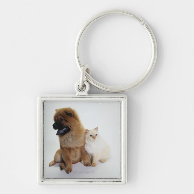 Chow Chow and a White Cat Sitting Together Key Ring (Front)