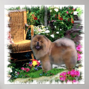 Chow Chow Art Gifts Poster