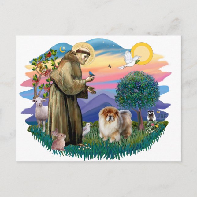 Chow Chow (B) Postcard (Front)