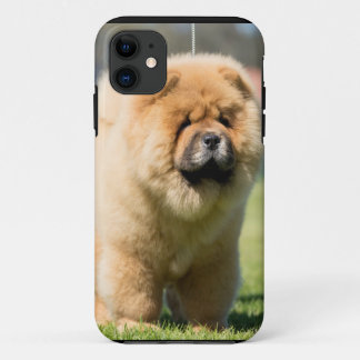 Chow chow iPhone 11 case
