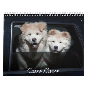 Chow Chow Dog Calendar