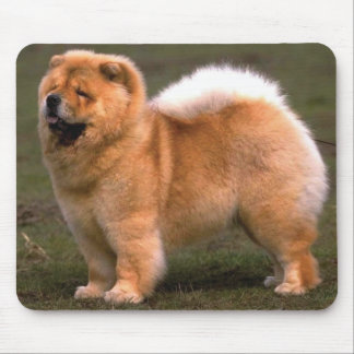 Chow Chow Dog Mouse Pad