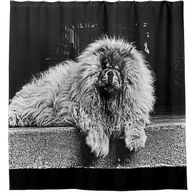Chow Chow Dog on Porch, Black and White Shower Curtain (Front)