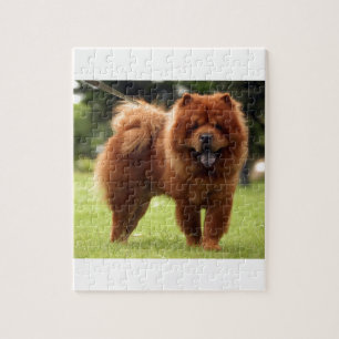 Chow Chow Dog Poses Jigsaw Puzzle