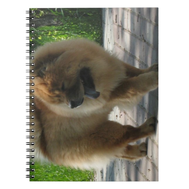 chow chow full.png spiral notebook (Front)