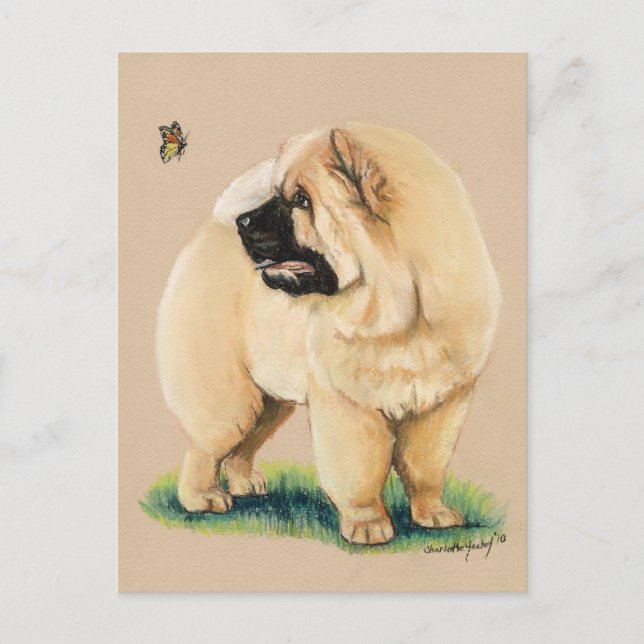 Chow Chow Original Dog Art Postcard (Front)