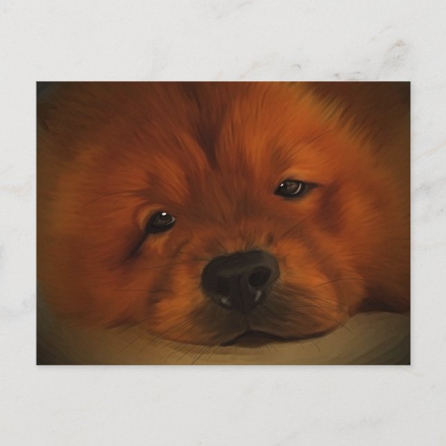 Chow Chow Postcard (Front)