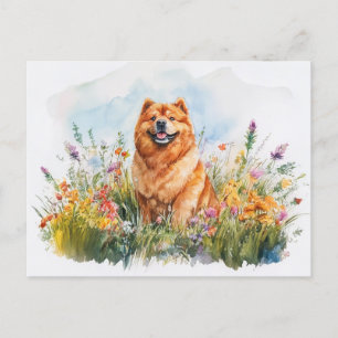 Chow Chow - Postcard