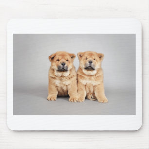 Chow chow puppies mouse pad