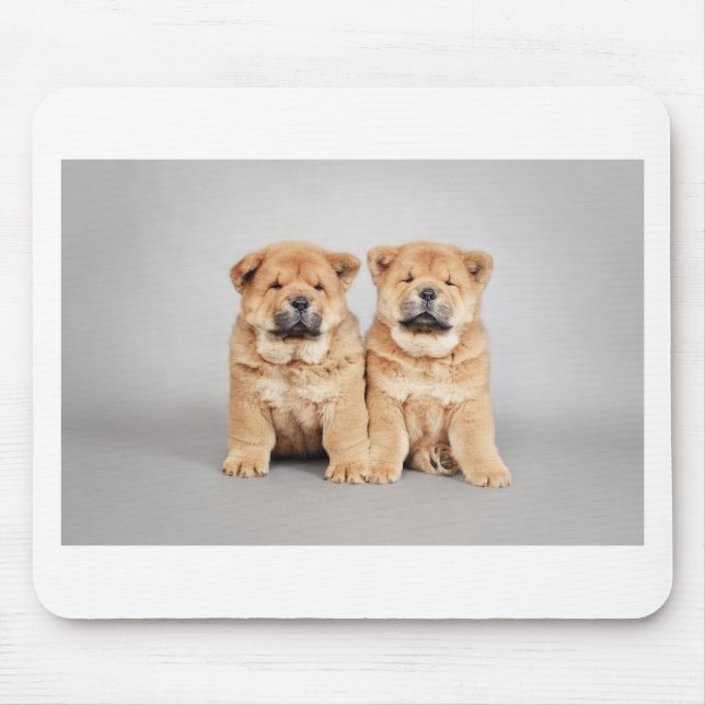 Chow chow puppies mouse pad (Front)