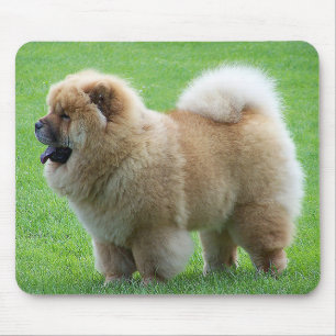 Chow Chow Puppy Dog Green Grass Mousepad