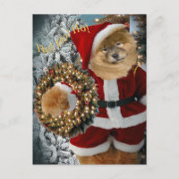 Chow Chow Santa Paws