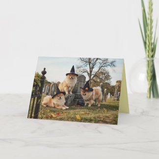 Chow Chow Witch Halloween Card