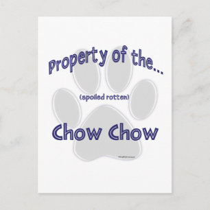 Chow Property Postcard