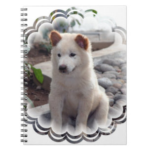 Chow Puppies Notebook