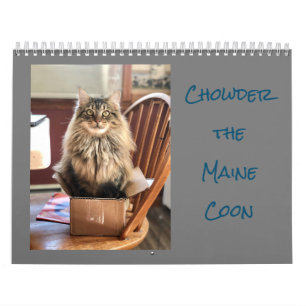 Chowder the Maine Coon Calendar