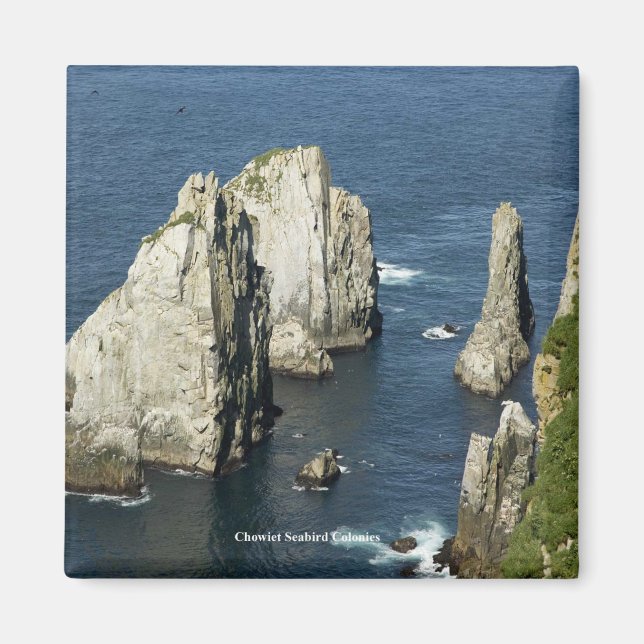 Chowiet Seabird Colonies, Alaska Magnet (Front)