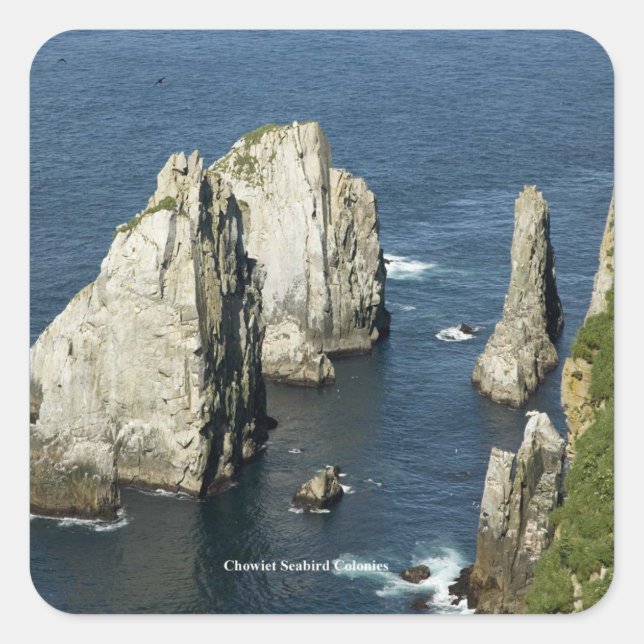 Chowiet Seabird Colonies, Alaska Square Sticker (Front)