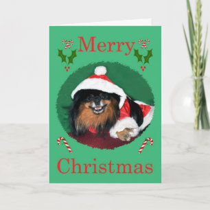 chris peb new holiday card