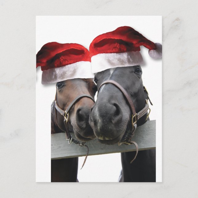 Chrismas Horses With Santa Hats Holiday Postcard (Front)