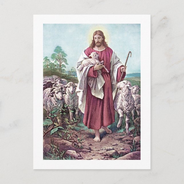 Christ The Good Shepherd Bernhard Plockhorst 1878 Postcard (Front)