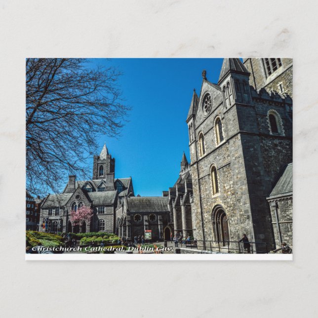 Christchurch Cathedral, Dublin Ireland Postcard (Front)