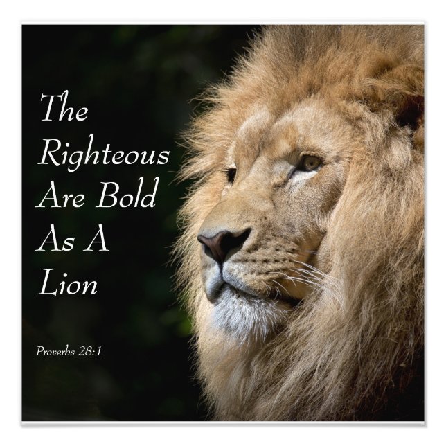 Christian Art - Lion - Proverbs 28:1 Photo Print (Front)