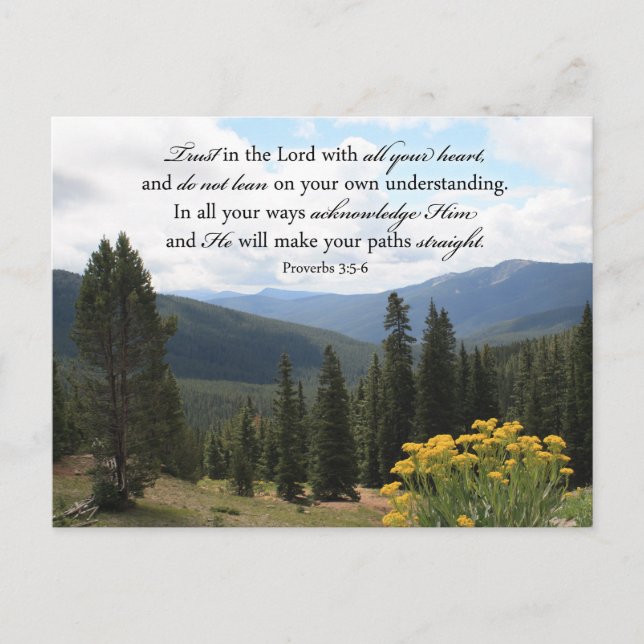 Christian Bible Verse Photo Inspirational Picture Postcard (Front)