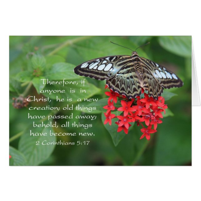 Christian Butterfly Scripture Card (Front Horizontal)