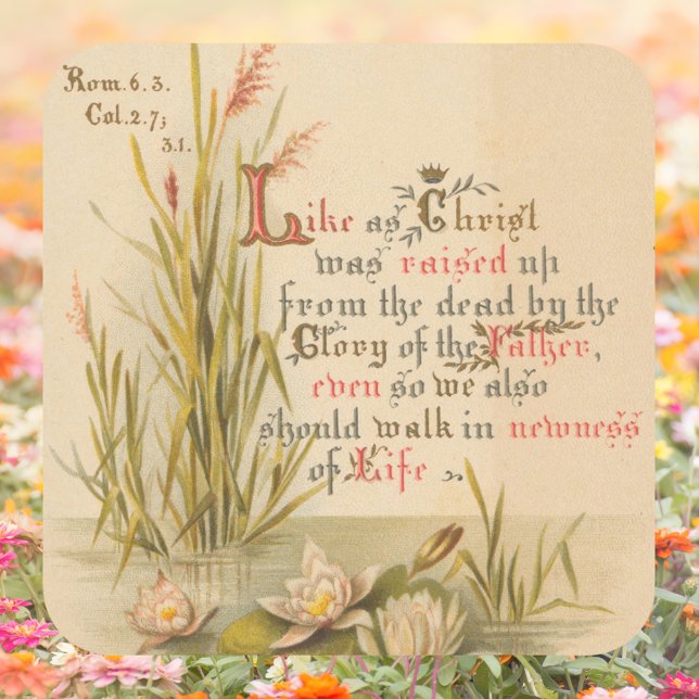 Christian Catholic Bible Christ is Risen Easter Square Sticker (Religious Christian Catholic Bible Verse Resurrection Jesus Christ is Risen Easter Square Sticker)