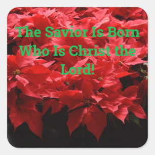 Christian Christmas Saviour Is Born Square Sticker