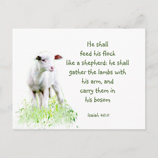 Christian Christmas Scripture Inspirational Verse Postcard (Front)