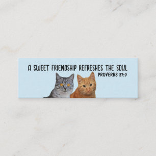 CHRISTIAN ENCLOSURE FRIENDSHIP CAT CARDS (100 CT!)