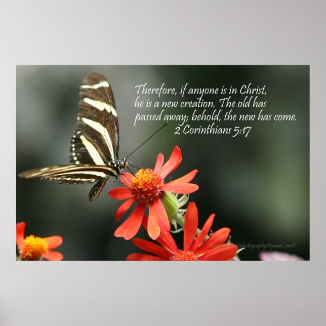 Christian Poster - Butterfly - New Creation (Front)