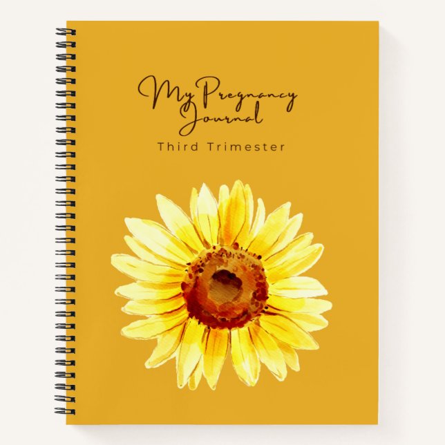 Christian Pregnancy Journal | Third Trimester (Front)