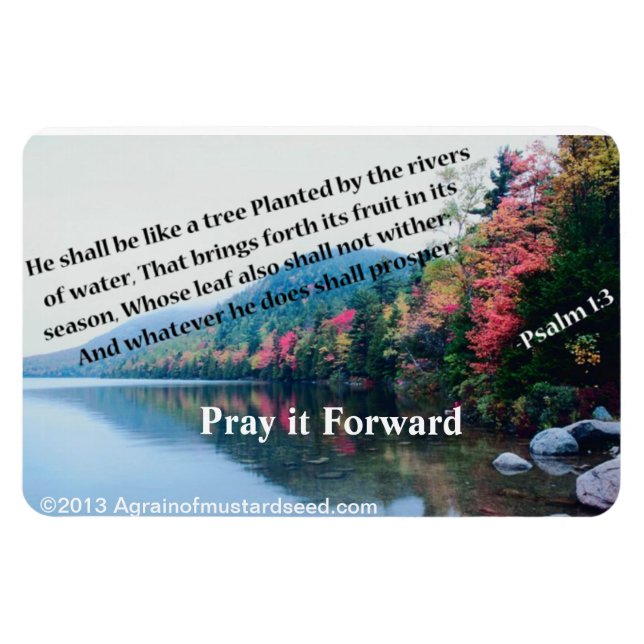 Christian Quotes Inspirational Magnet (Horizontal)