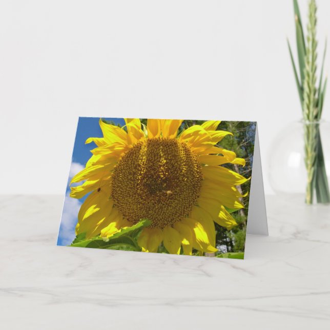 Christian Sunflower Birthday Card (Front)