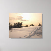 Christman Afternoon Snowy Scene