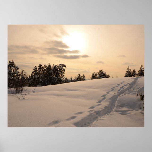 Christman Afternoon Snowy Scene Poster (Front)