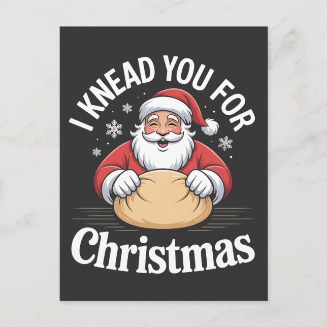 christmas 2026,  holiday postcard (Front)