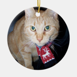 Christmas 2026 Orange Cat Wearing Scarf Ornament