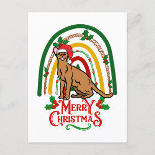 Christmas Abyssinian Merry Christmas cat Holiday Postcard