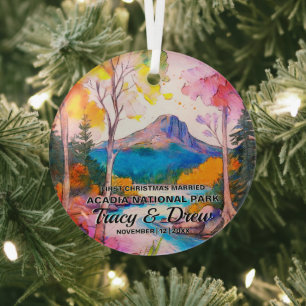 Christmas Acadia National Park Maximalist Married Glass Tree Decoration
