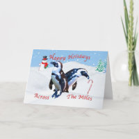 Christmas Across the Miles, Penguins in Snow