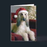 Christmas Afghan Hound On a Velvet Couch Card<br><div class="desc">A beautiful Afghan hound dog with long,  silky fur lounges on a red velvet couch,  wearing a festive Santa hat.
The inside text can be changed.</div>