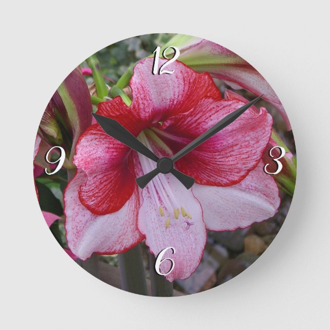 Christmas Amaryllis Red Holiday Floral Round Clock (Front)